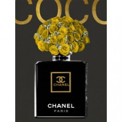 Glasschilderij  Coco Chanel Paris | 061